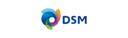 Logo van DSM
